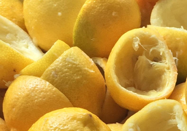Oil Lemon - Food Grade – Nichols Garden Nursery